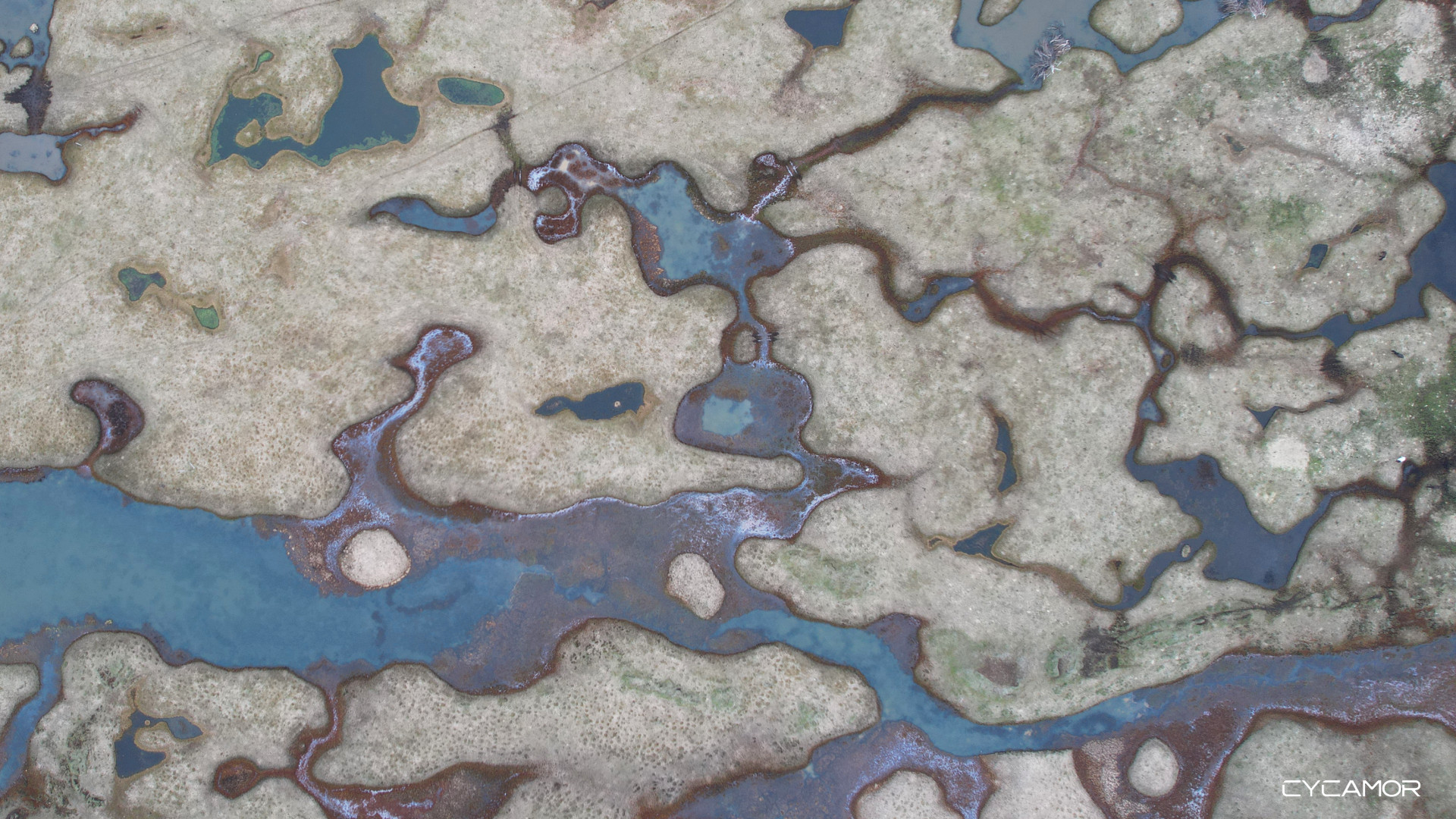 Marshland
