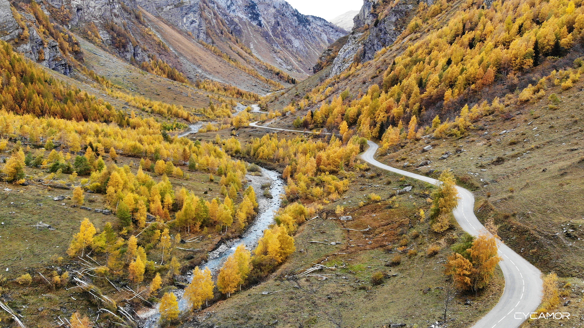 Golden Valley