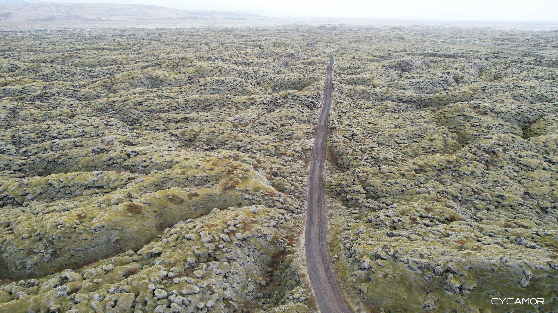 Mossy Lava Field