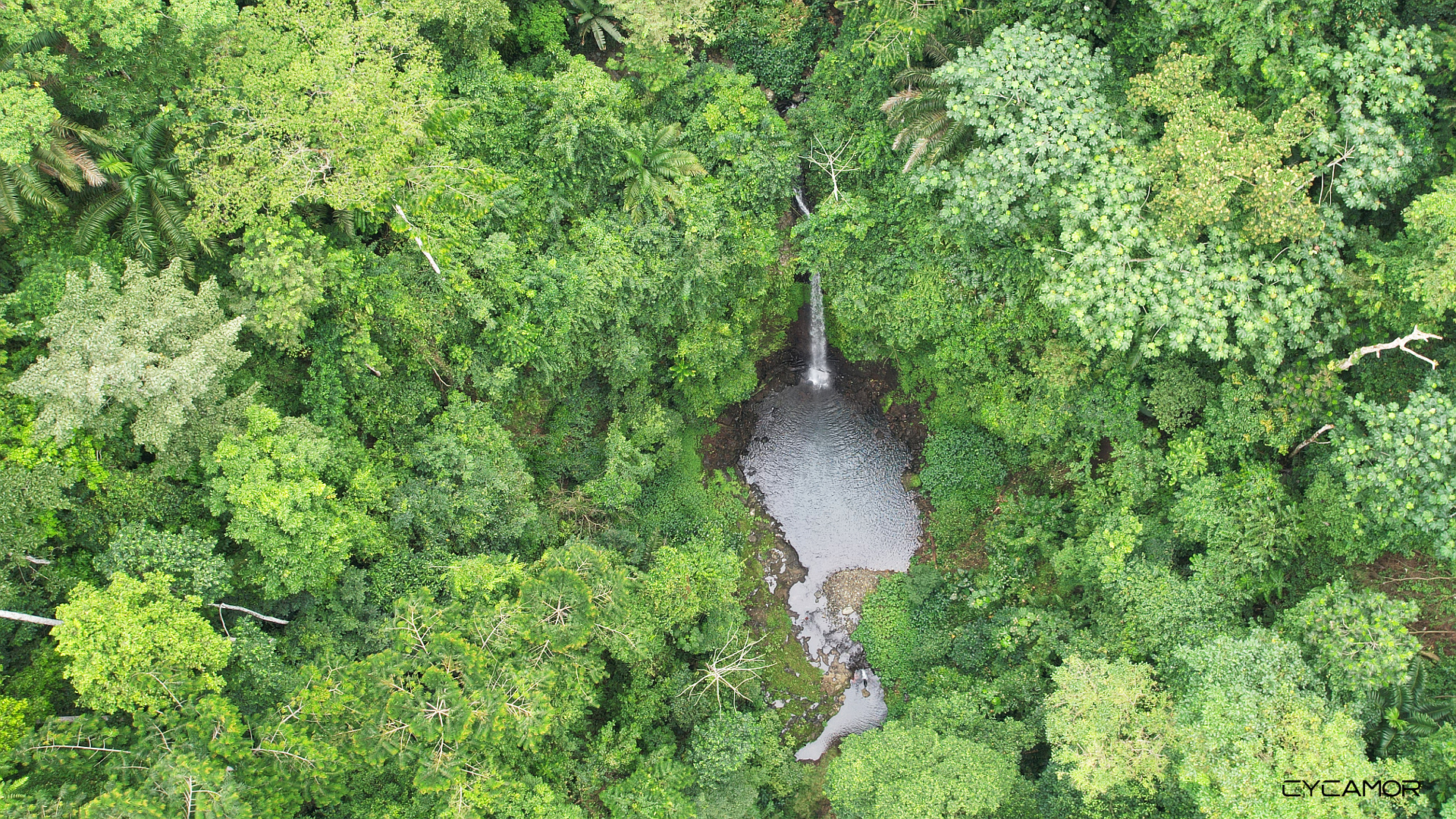 Waterfall