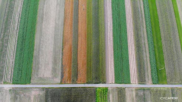 images fields colord fields