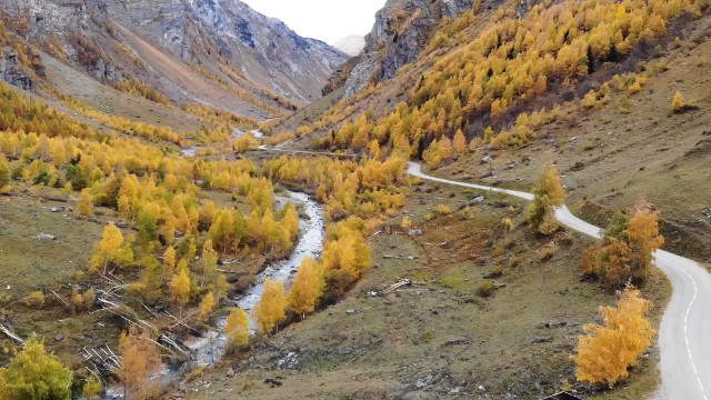 video golden valley